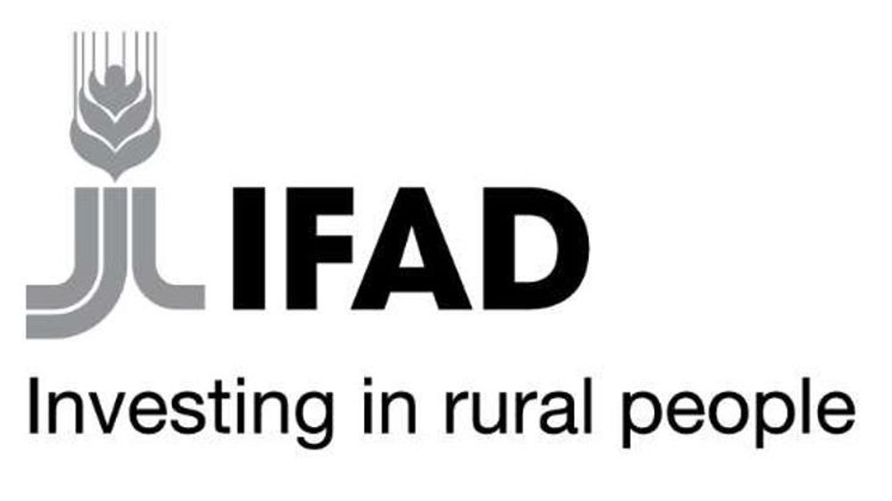 L’agence onusienne finance des projets de développement agricole destinés principalement à la production alimentaire dans les pays en développement. © A. Cardinaux/GFA